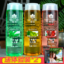 beech flower shampoo beer ginger hair shampoo anti-dandruff anti-itch oil cleansing silicone oil nourishing shampoo