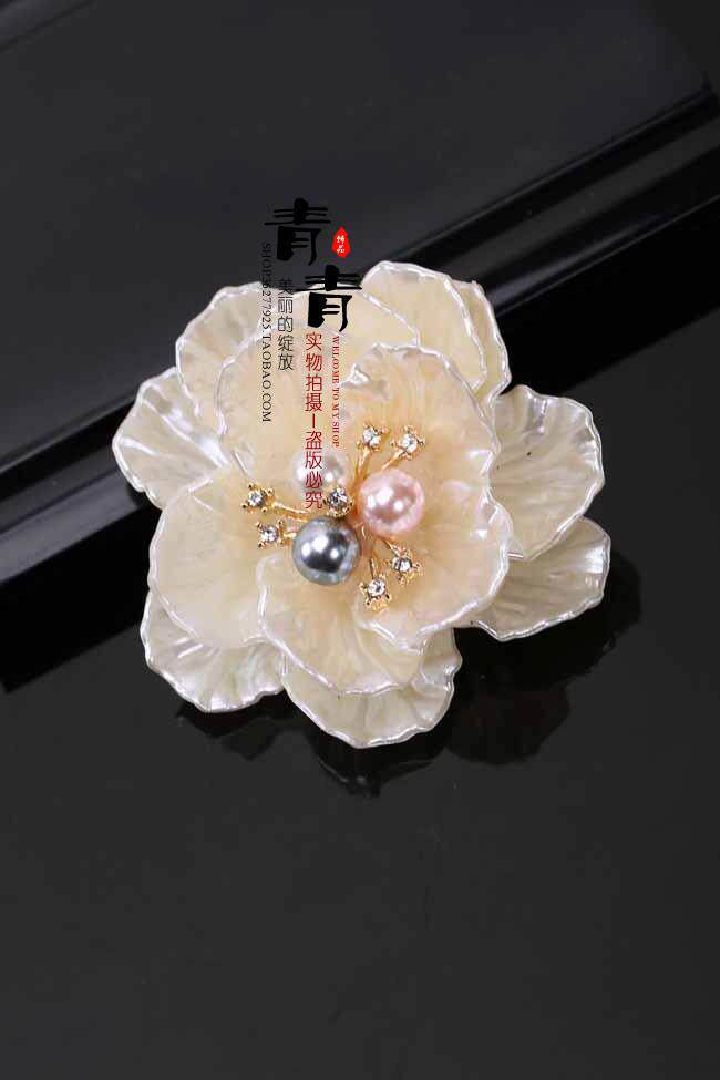 Broche femme en Nacre - Ref 1175679 Image 17