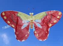 Weifang kite boutique kite hand-drawn small butterfly Yang Hongwei Bao flying tools