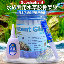 National Elephant Water Grass Glue Adhesive Coral Sticky Wood Sticking Stone Aquatic Glue Coral Glue