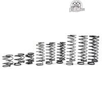 DDL 100 мм пружинная группа -ddl -002