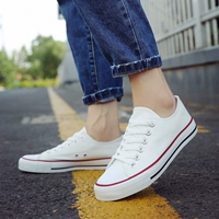 A01 Женский белый красный край