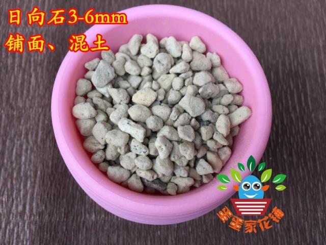 Sunshiangshi succulents Granular soil paving ground mixed soil planting without powderization