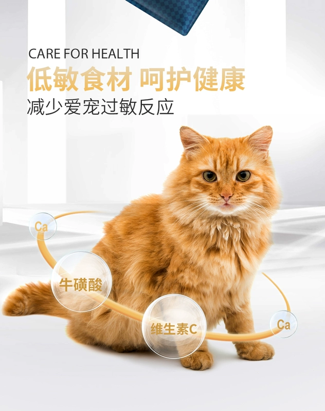 Tự làm không có hạt thịt tươi thức ăn cho mèo 8kg thành một con mèo nhỏ thức ăn tự nhiên - Cat Staples