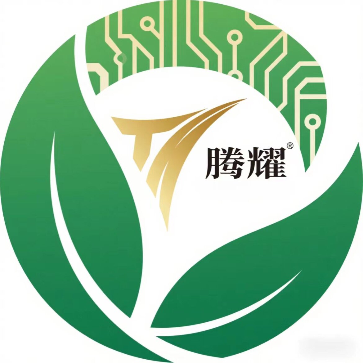 腾耀生物农业(韩)
