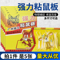 5 pieces of Mouse stickers strong mouse board rodent rodent rodenticizer clip catch big rat cage glue stick mouse artifact home