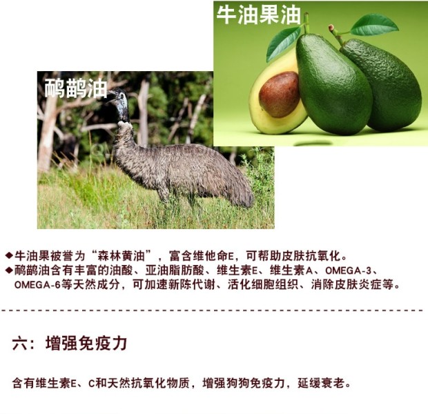 Chó sói thức ăn tự nhiên đặc biệt cho chó 20kg40 kg Ưu đãi đặc biệt Chó con chó trưởng thành - Chó Staples hạt nutrience