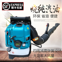  Gasoline hair dryer Greenhouse blast snow blowing high-power site fire extinguishing garden leaves welding slag road dust removal