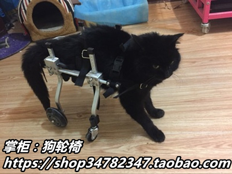 Pet wheelchair Dog wheelchair Small animal wheelchair Paralyzed pet adult scooter Disabled dog and cat limb wheelchair