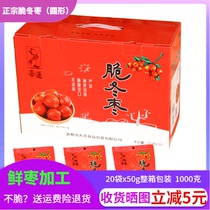 Cangzhou specialty October red crispy winter jujube Huanghua ancient jujube Garden daily food crispy seedless crispy jujube gift box 1000g