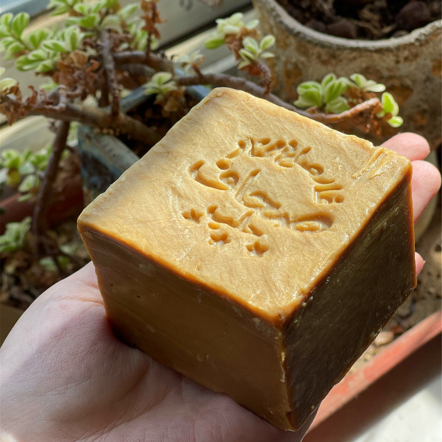 Only extravagant 8 years before the war + Aleppo Syria Ancient Soap Olive Soap Handmade Soap Aleppo Warm