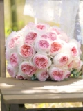 Sirius Rose Rose Rose 2,5 литра крупно -масштабной большой масштабной пчелы 4 и другой террасы внутреннего двора