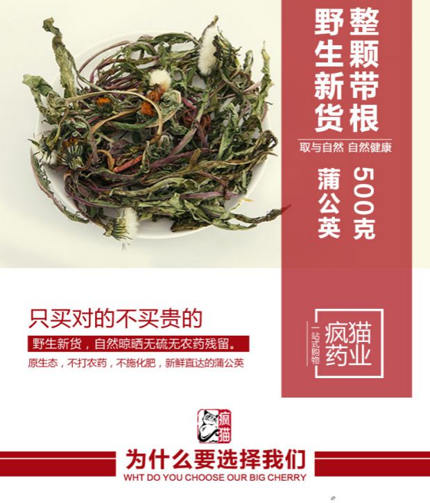 蒲公英干货500g野生整根带根茶蒲公英茶新鲜