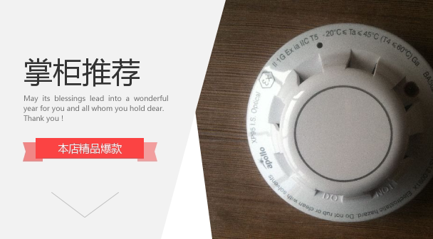 APOLLO UK Apollo Fire Probe 55000-620