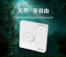 Диммер 技能高考 调速开关 技能高考调速开关 The International