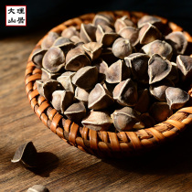 Dali Mountain Residence Yunnan Lijiang Moringa Seed India Introduction Seed Edible Tonic 60 grams Buy one hair