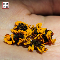 The mountain snow chrysanthemum on the Yulong Snow Mountain in Dali Mountain is non-Kunlun Xinjiang snow chrysanthemum non-Tianshan blood chrysanthemum 38 grams