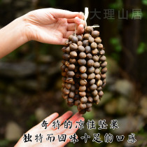 The fruit of the giant panda tea fruit Zhangjiu in the botanical world of the Dali Mountain plant-bitter and fruity with a unique ganxiang cool nut