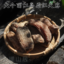 Great Geographical Mountain Residence Yunnan Lijiang Te-level Red Gastrodin Blood Gastrodin Winter Hemp 12 Heads Gastrodia 100g