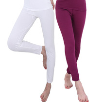 Lady Gats Up Thinning Spring Autumn Winter Beating Bottom Pants Autumn Pants Warm White 130-150 Catty THIN UNDERPANTS WITH SUEDE LINE PANTS