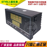 STYB上通仪表 XMT-9411 очки. Номер баллов E XMT-9000 Smart Digital Display Controller