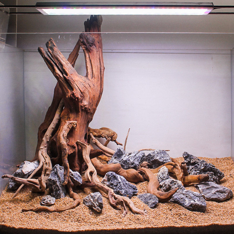 Fish tank landscaping tree of life sinking wood skeleton stump aquarium grass tank novice lazy decoration full set of finished products