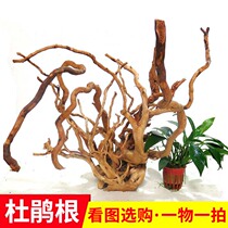 Fish tank landscaping sink wood Large large aquarium decorative wood Rhododendron root ornaments Small landscaping Moss tree flow wood