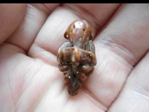 12101: The monkey makes a bow (the nuclear sculpture)