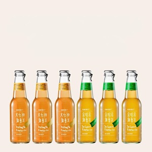 大红袍金观音康普茶益生菌发酵气泡茶6瓶