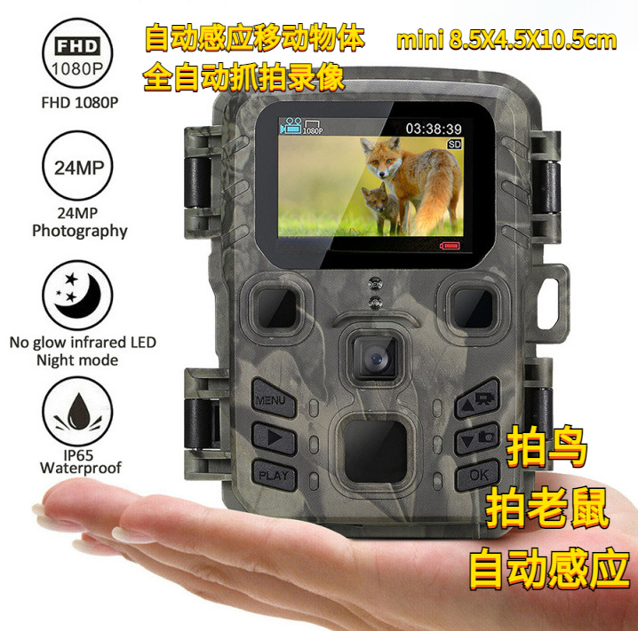 Outdoor Hunting Camera Infrared Night Vision 24 Million Pixel with Screen Infrared Sensor Trigger Photo Video Forestry