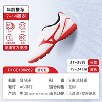 【Безопасность и сильная поддержка】 насилие Red-P1GE189262