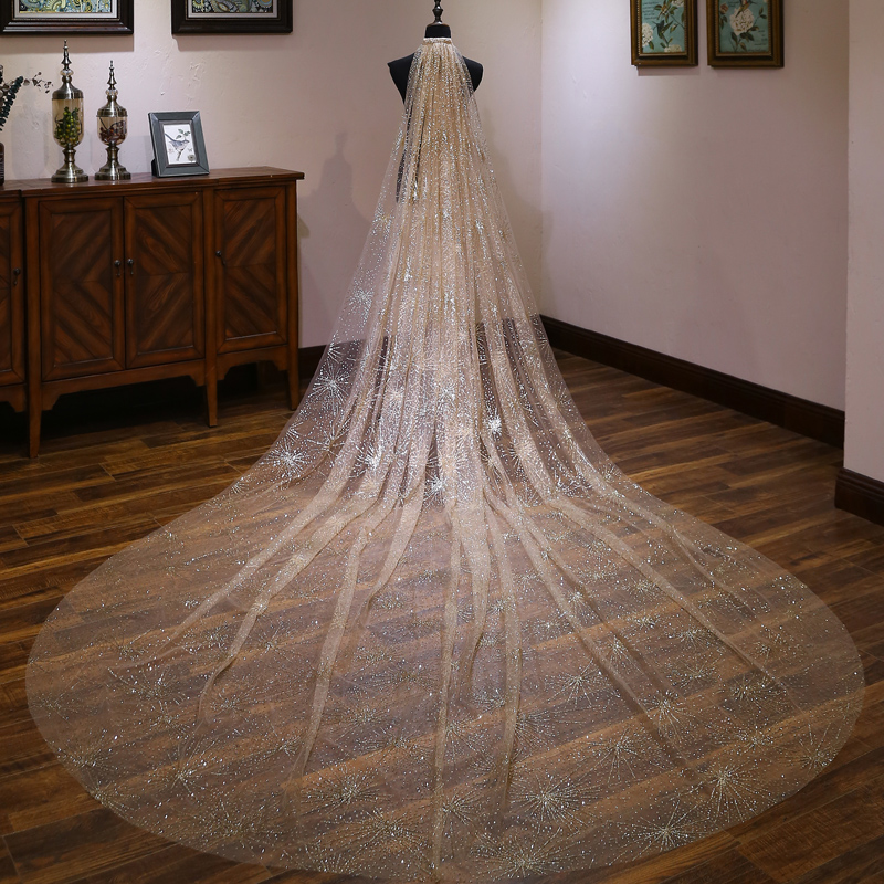 Champagne star star dress bride ultra long drag wedding dress dress dress dress long edition super-sen white