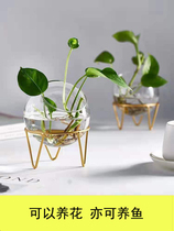 Glass vase living room ornaments flower arrangement decoration hydroponic utensils green rose modern desktop hydroponic plants creative simplicity