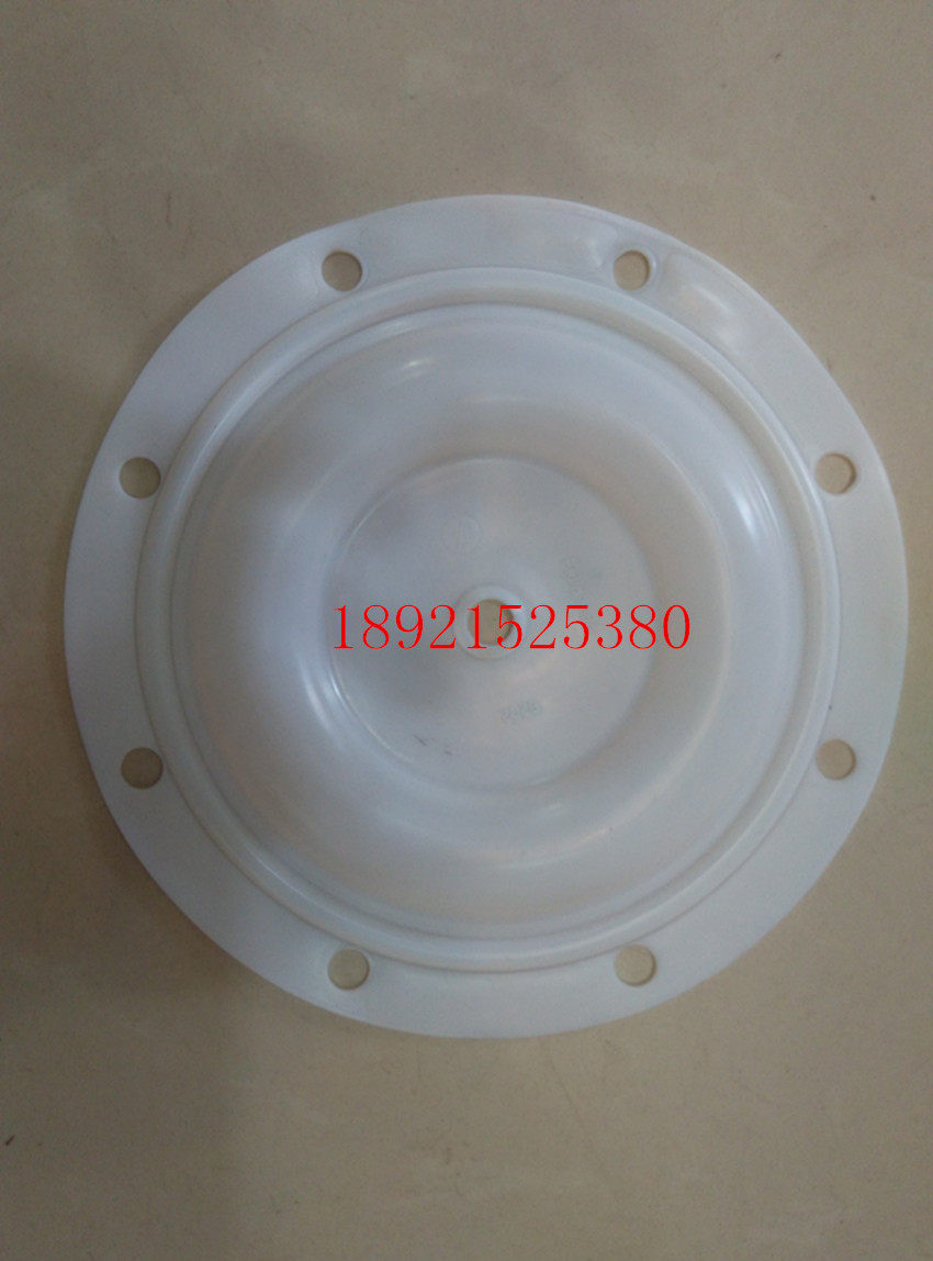 BSK1 inch pneumatic diaphragm pump accessories diameter 220MM white PTFE diaphragm 6202