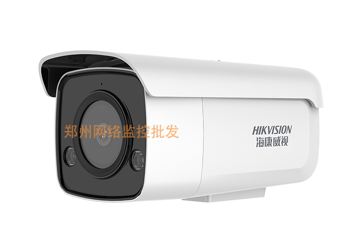 Sea Conway sees DS-2CD3T25DWD-L3 white light full-night-time internet camera surveillance night vision