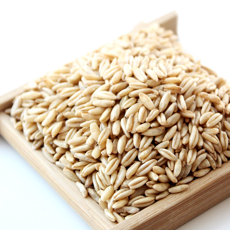 Oat Rice Miscellaneous Grain Workshop Shanxi Quality Whole Germ Raw Oat Kernel Oat Grain Five Grain Cereals