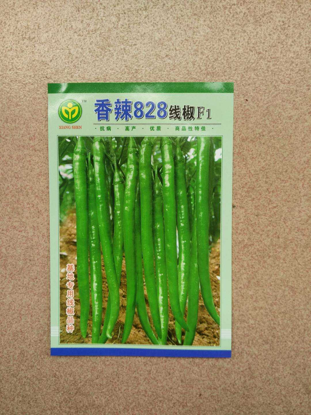 Base special seed spicy 828 line pepper (5 grams) spicy 8 line pepper seed yield high