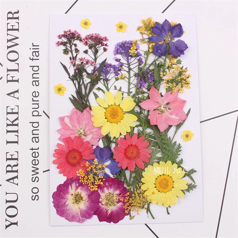 少女林小宅同款乾燥花妝寫真拍照花瓣妝臉部裝飾乾燥花包舞臺眼角貼