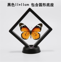 Butterfly language: Golden butterfly True butterfly specimen Original butterfly specimen Winged butterfly Transparent box Science and education