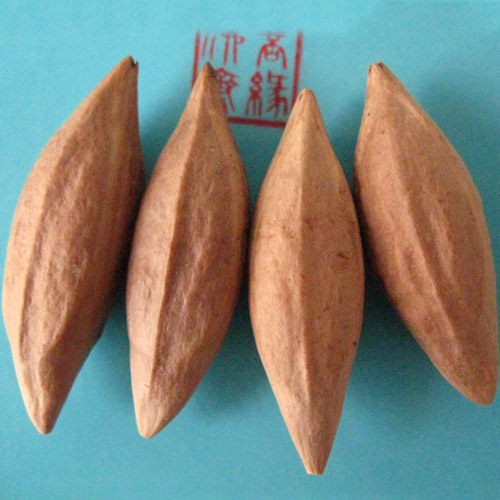 Olive nuclear sculpted raw material slender nuclear long face Rohan Guanyin Mile engraving knife Wen playing Bodhi red oil olive Hu