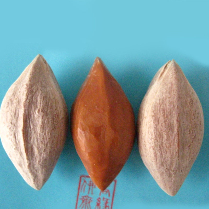 Olive nuclear sculpted raw material Big triangular red oil Nuclear Rohan Müller with great hand in bodice to play bodice rugby seed 