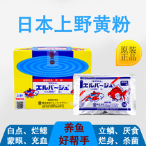 Japanese yellow powder Ueno yellow pink ornamental fish Velvet White Point water mildew tail yellow pink fish