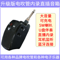 Little angel electric blowpipe plugged into the internal recording small speaker mobile phone Bluetooth audio Yajia Roland Jiuyou Huamei Yasile