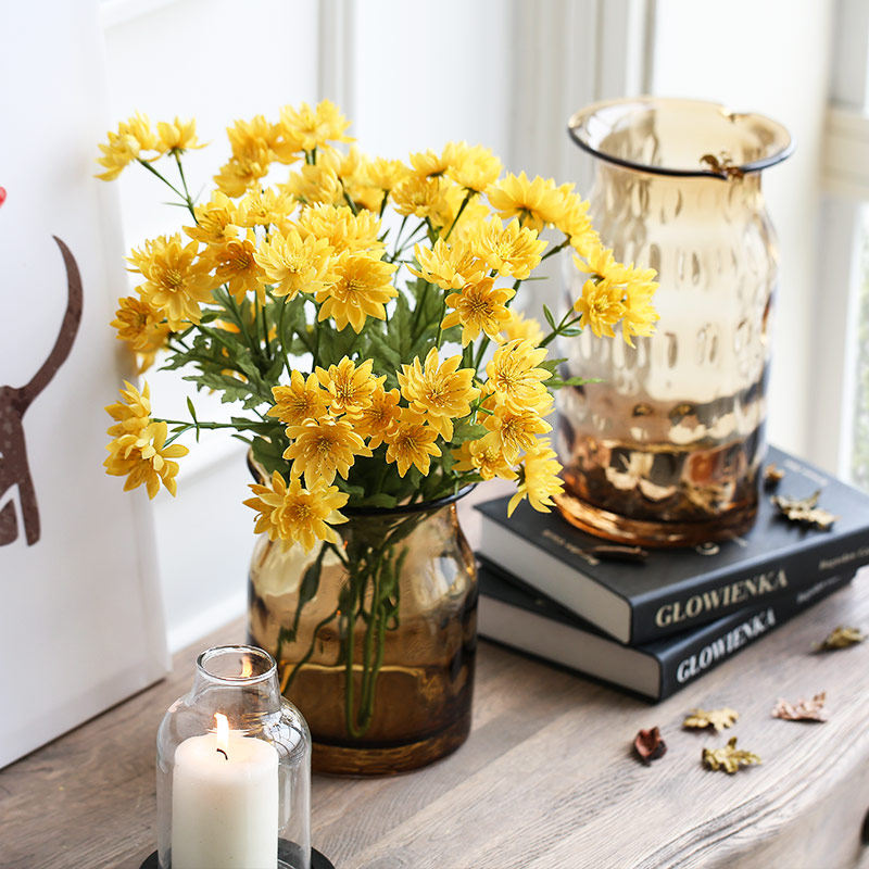 ���ӼҾ��ִ���Լ͸������С��ƿ