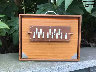 Deri Terre Indian pan-singing chanting box Shruti-box Shruti box Yoga meditation Music healing