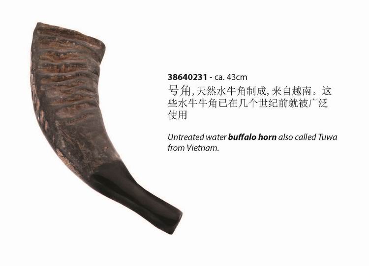 Deli Terre horn natural buffalo horn buffalo horn instrument imports quality German brands