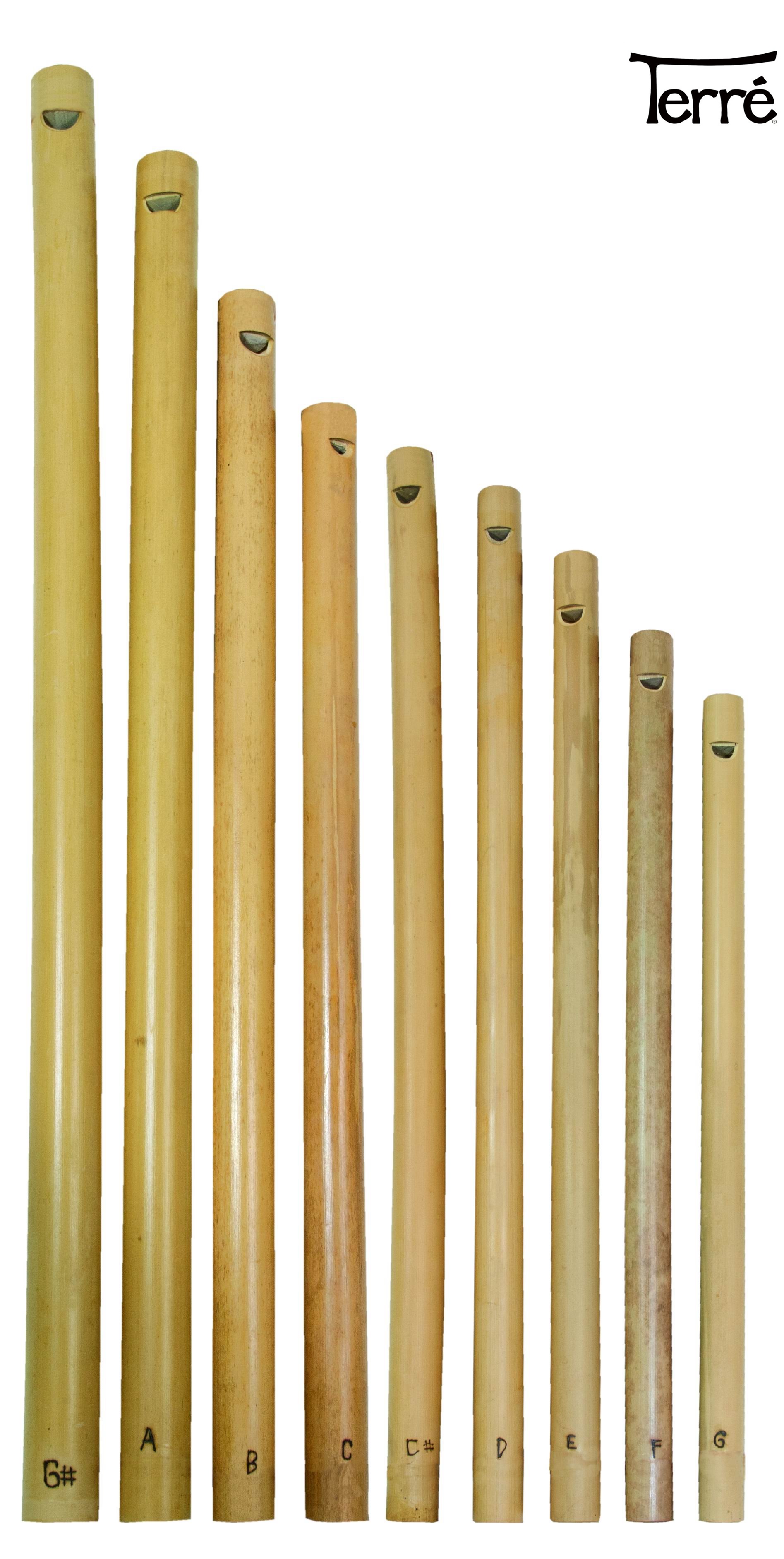 Derry Terre overtone flute Tuned rhythm flutes imported musical instruments German brand