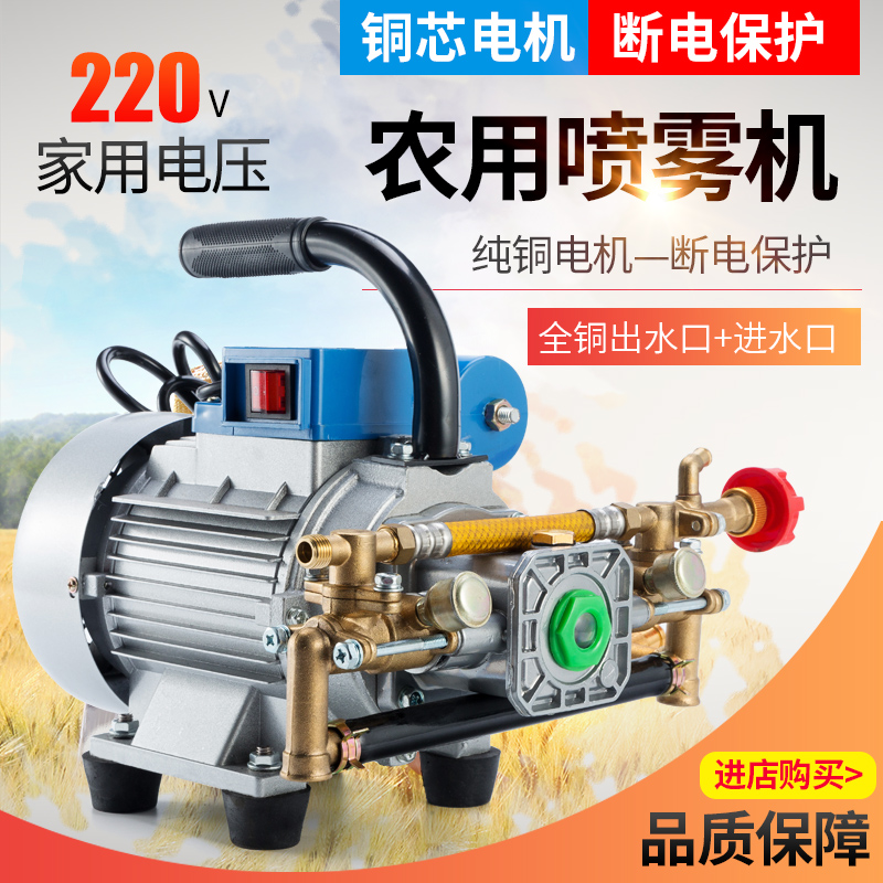 Garden sprayer motor plunger pump pesticide machine household 220V electric agricultural fruit tree electric sprayer high pressure
