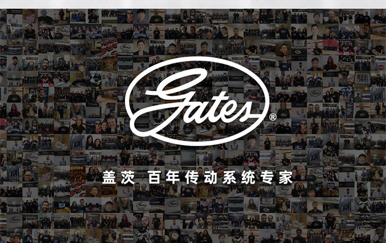 Цепь привода ГРМ 适用kia福瑞迪秀儿速迈秀尔k2佳乐现代i30悦动盖茨正时链条套装 OTHER