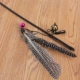 Big Bird Teaming Cat Stick